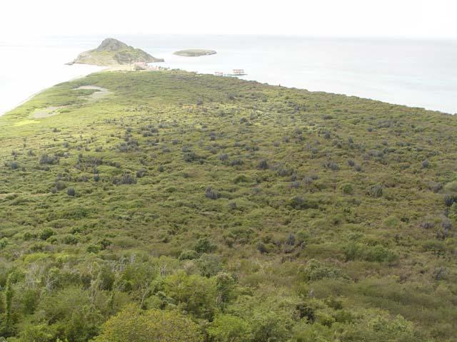 Forêts décidues sèches tropicales et subtropicales — Wikipédia