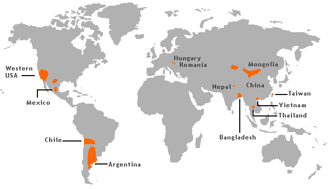 Arsenic contamination of groundwater - Wikipedia