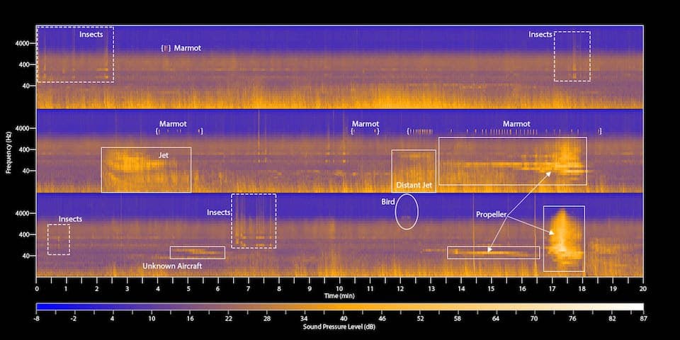 Soundscape ecology - Wikipedia