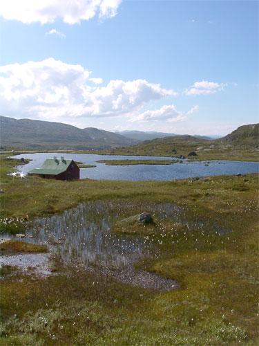 Hardangervidda - Wikipedia