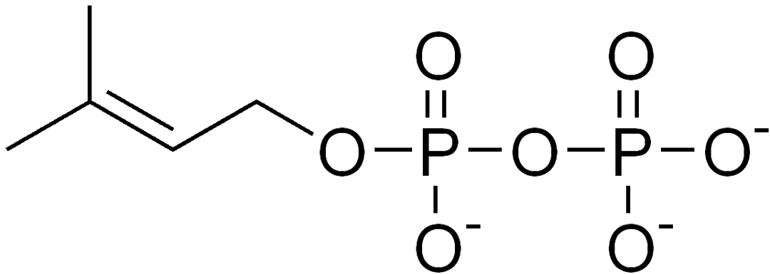 Diméthylallyl-pyrophosphate — Wikipédia