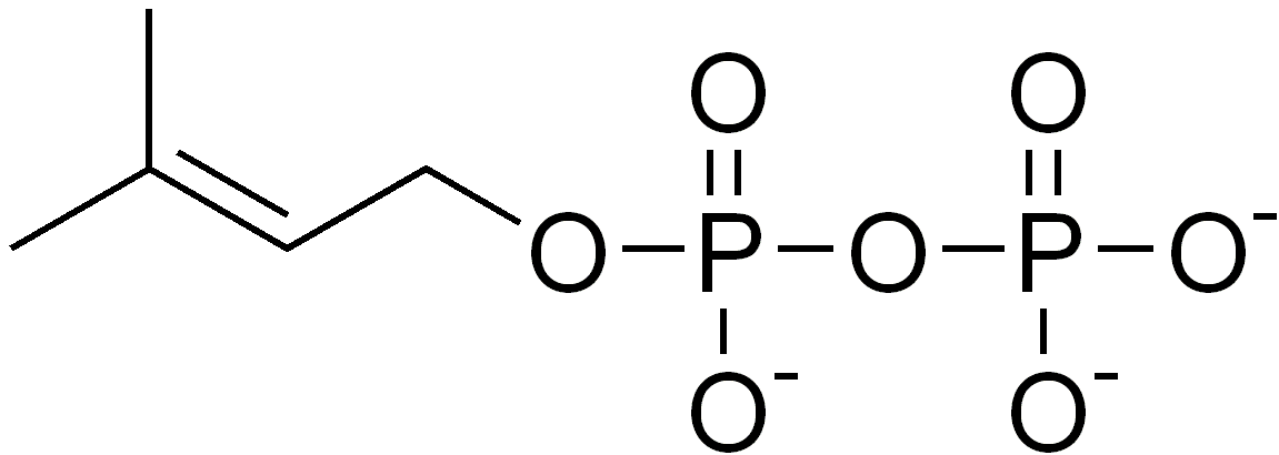 Diméthylallyl-pyrophosphate — Wikipédia