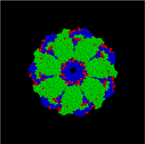 Chaperone (protein) - Wikipedia