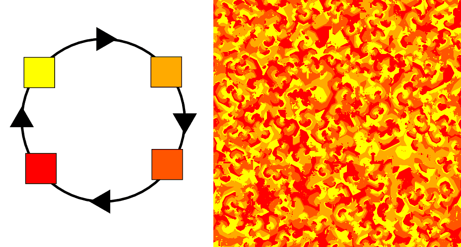 Automate cellulaire — Wikipédia