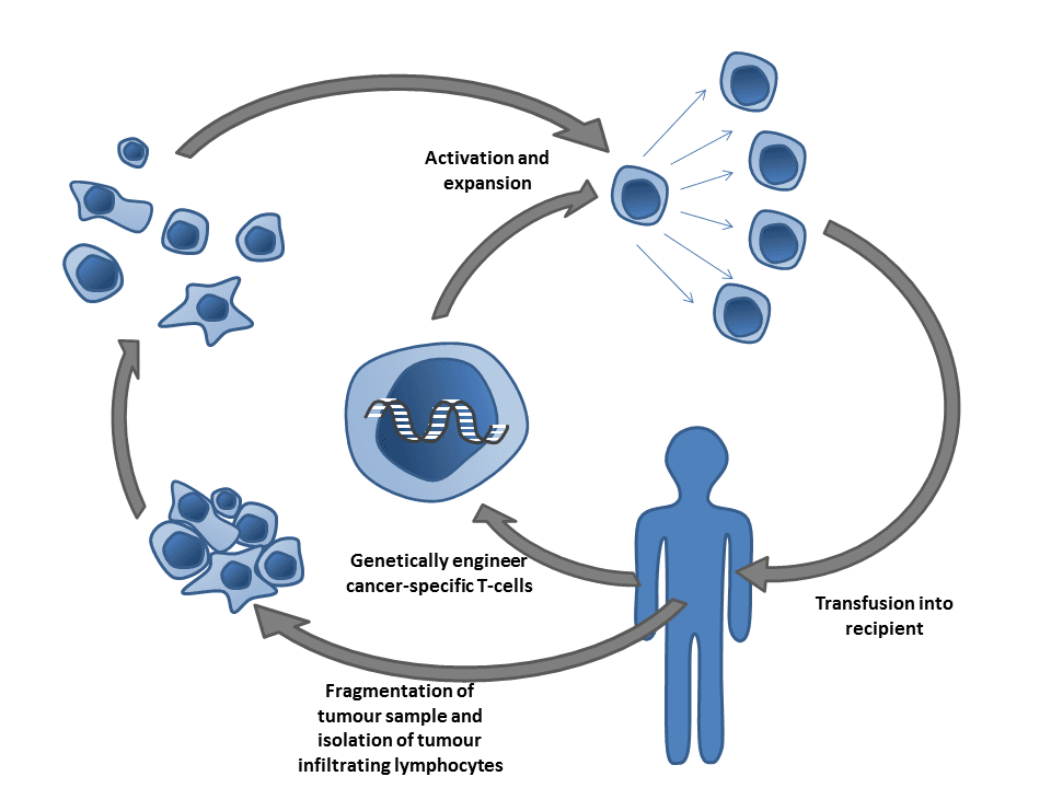 Cell therapy - Wikipedia