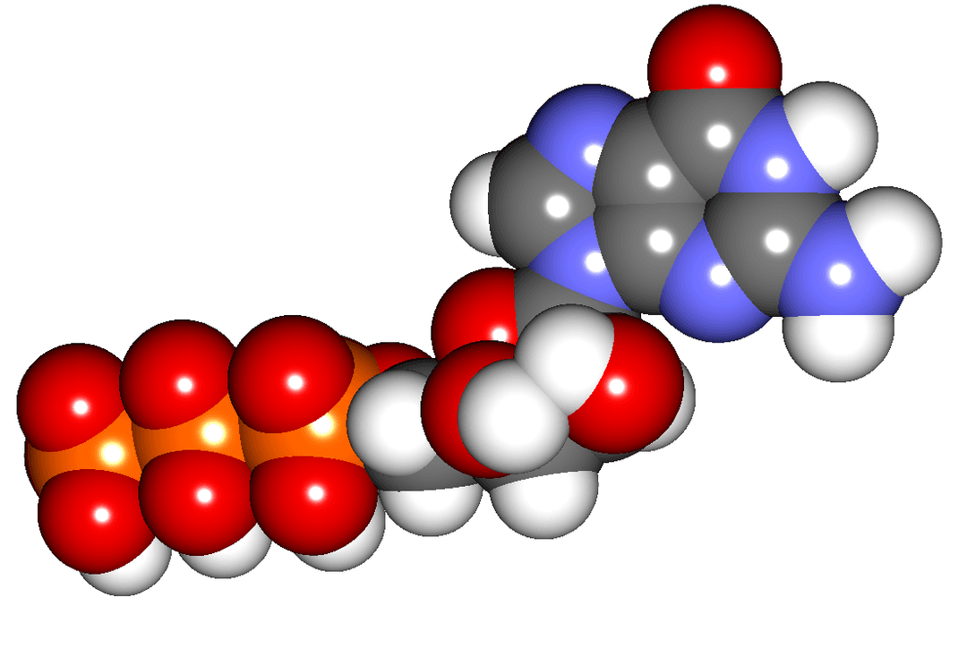 Guanosine triphosphate — Wikipédia