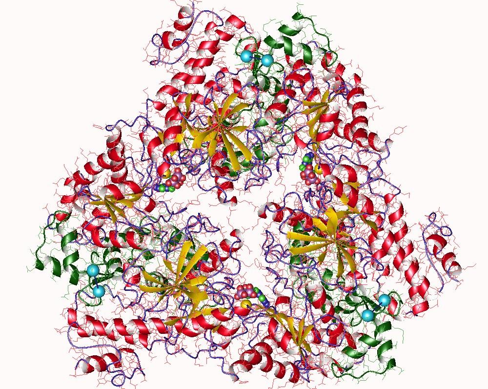 Adenylyl cyclase - Wikipedia