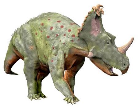 Coronosaurus — Wikipédia