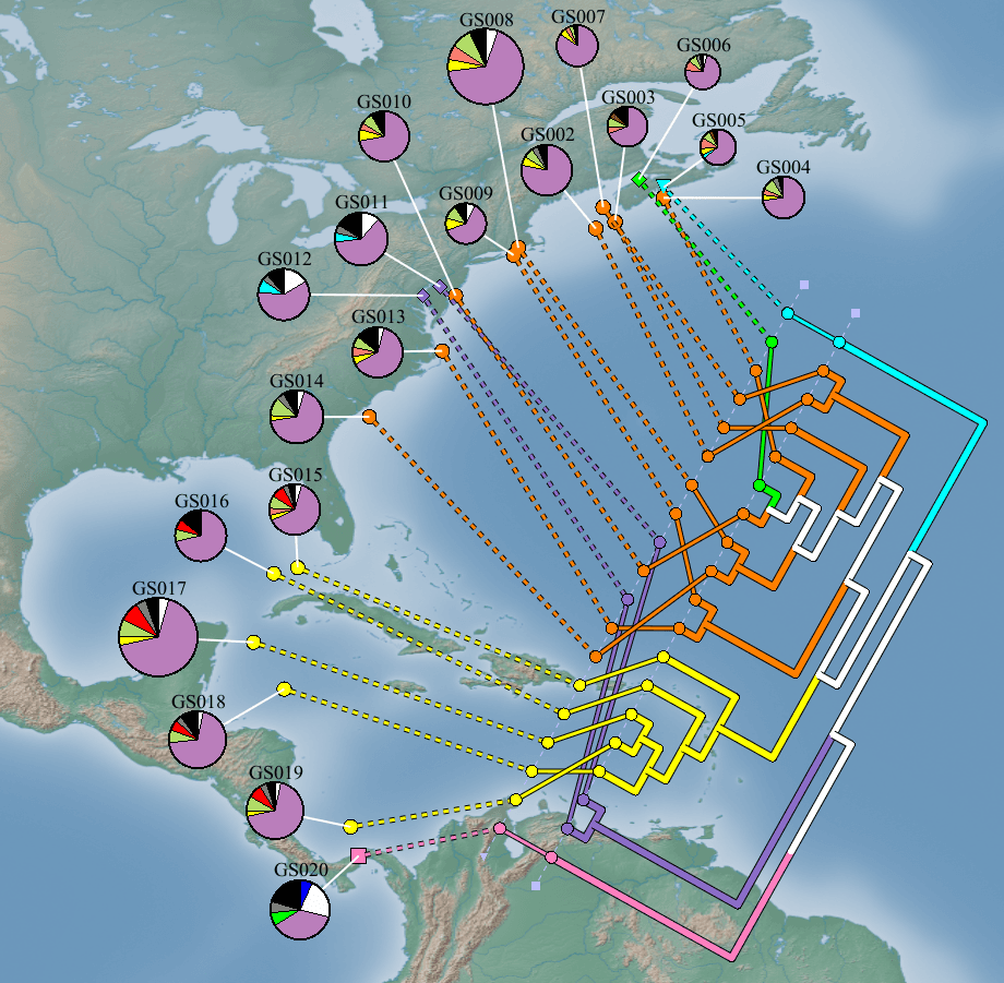 Métagénomique — Wikipédia