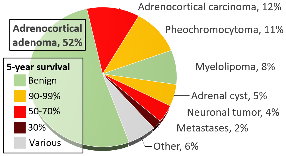 Adrenal tumor - Wikipedia