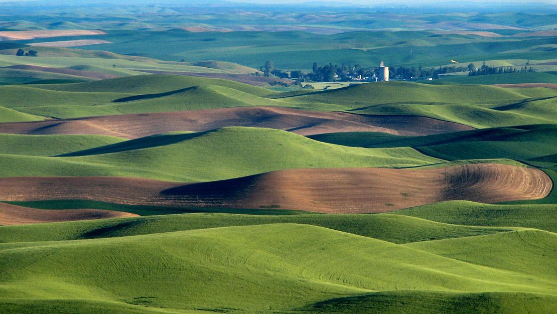 Palouse - Wikipedia