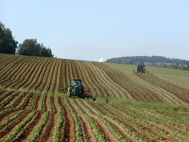 Agriculture — Wikipédia