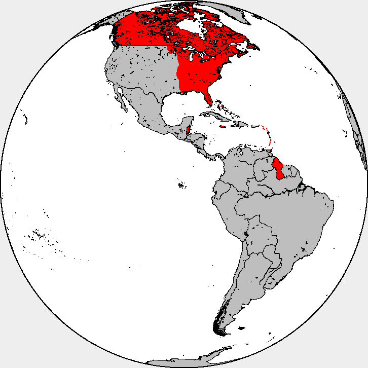 British colonization of the Americas - Wikipedia