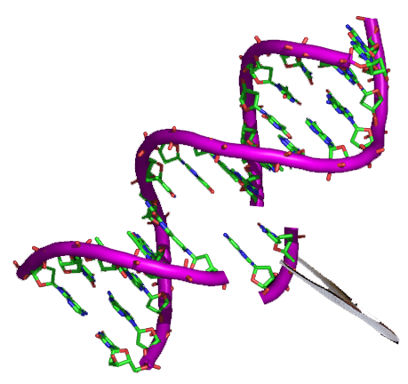 Genetically modified crops - Wikipedia