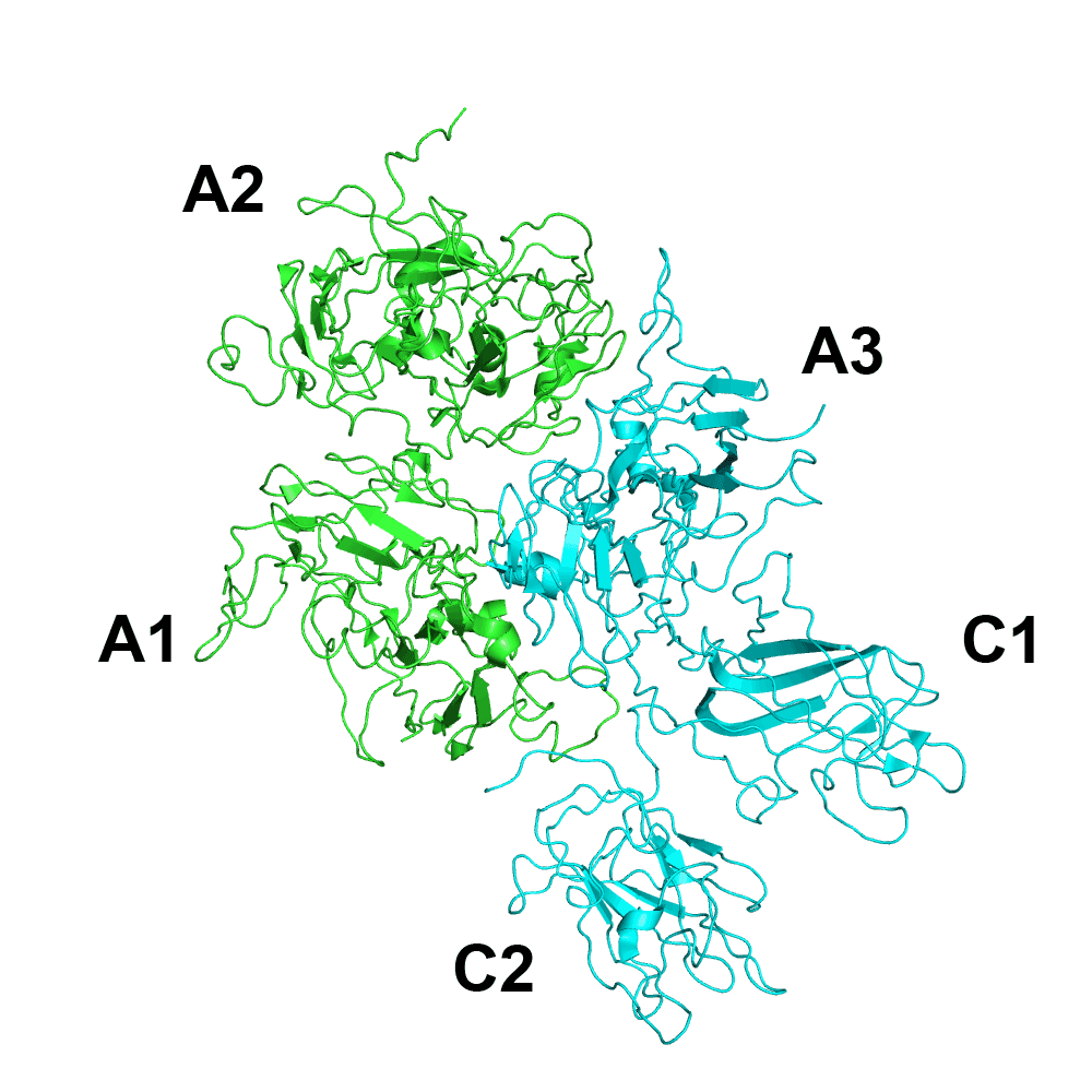 Factor VIII - Wikipedia