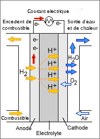 Pile à combustible à membrane échangeuse de protons — Wikipédia