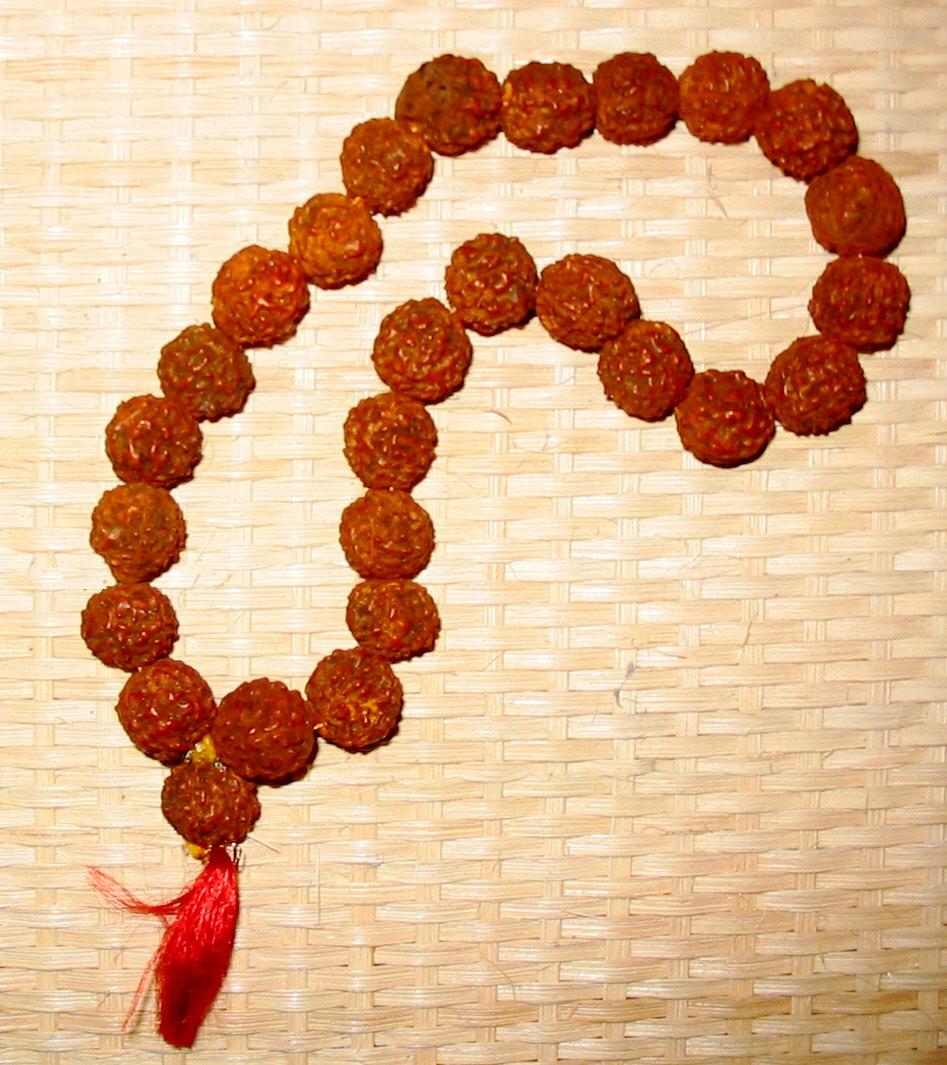 Rudraksha — Wikipédia