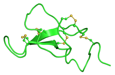 Agouti-related peptide - Wikipedia