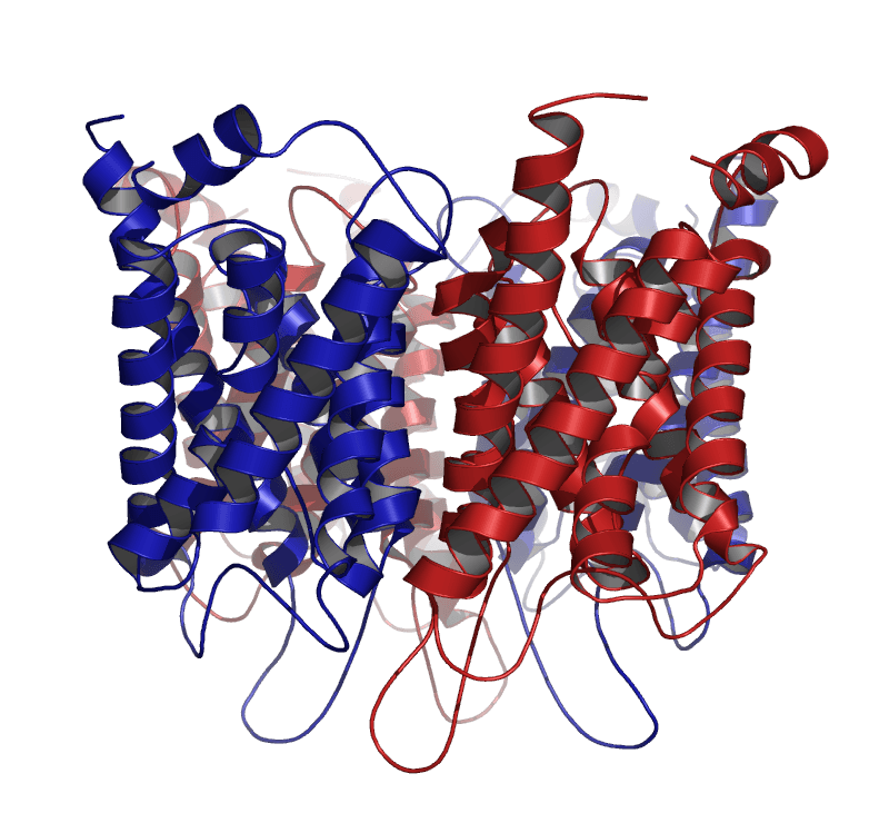 Aquaporin - Wikipedia