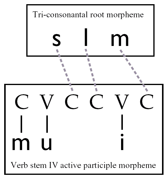 Nonconcatenative morphology - Wikipedia