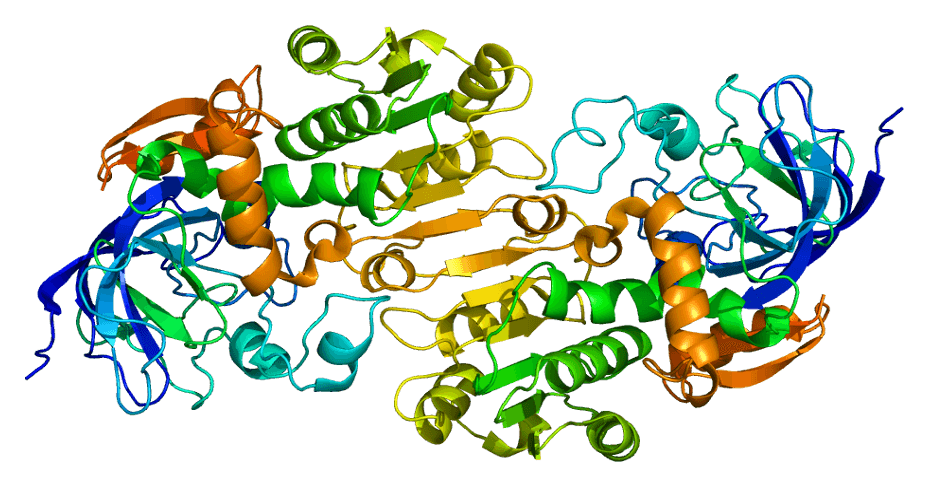 Alcohol dehydrogenase - Wikipedia