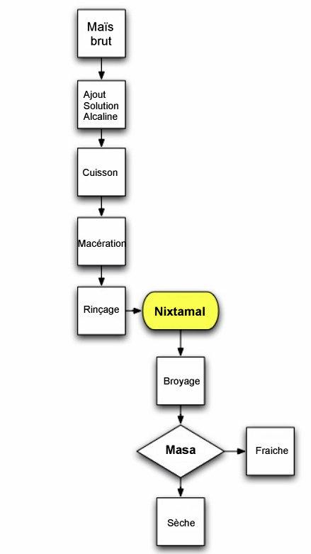 Nixtamalisation — Wikipédia