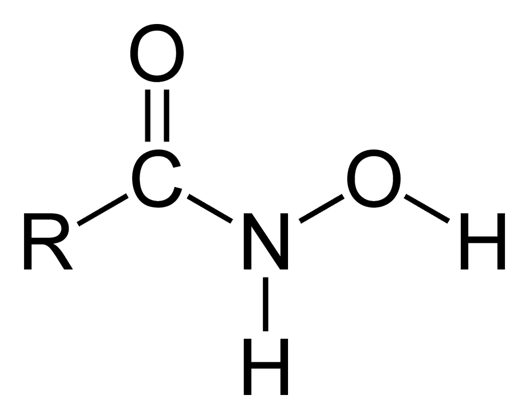 Acide hydroxamique — Wikipédia