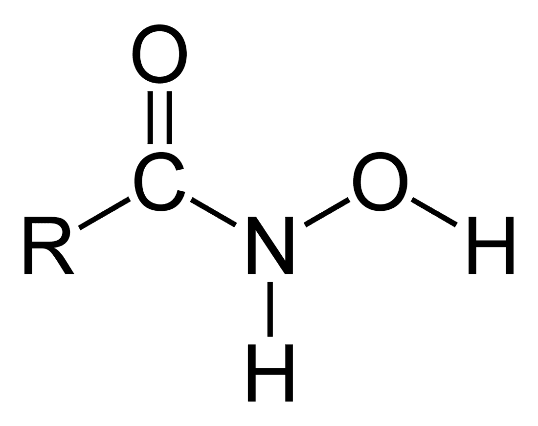 Acide hydroxamique — Wikipédia