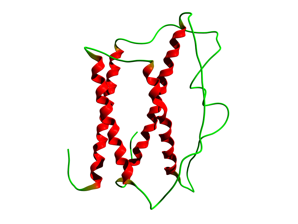 Somatotropine bovine — Wikipédia