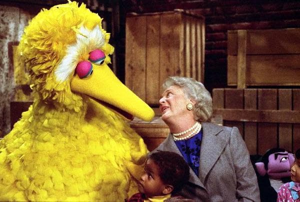 Big Bird - Wikipedia