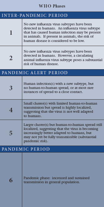 Pandémie de grippe — Wikipédia