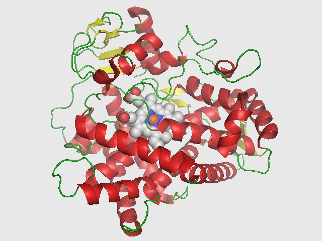 CYP2D6 - Wikipedia