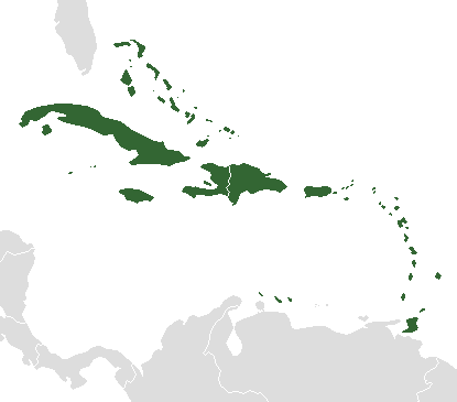 Antilles — Wikipédia