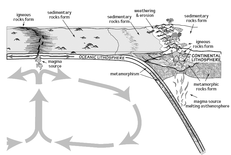 Biogeochemical cycle - Wikipedia