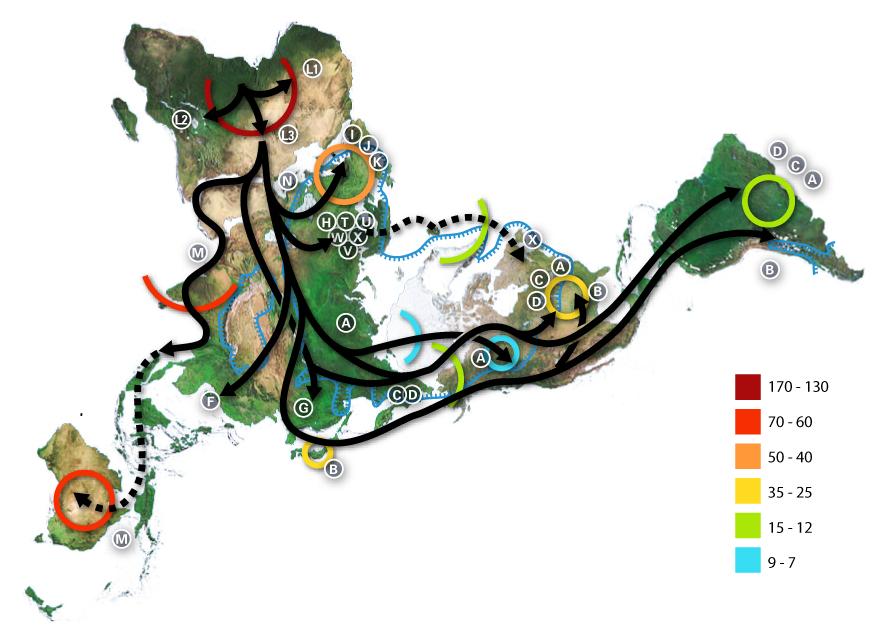 Histoire de l'humanité — Wikipédia