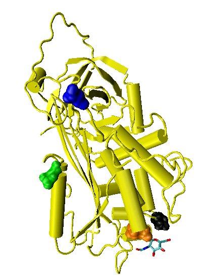 Antithrombin - Wikipedia