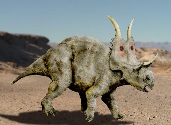 Diabloceratops — Wikipédia