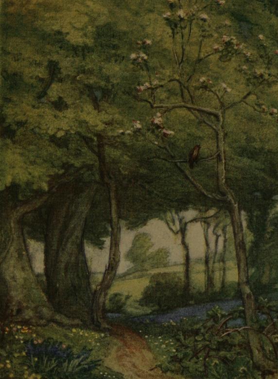 Ode to a Nightingale - Wikipedia