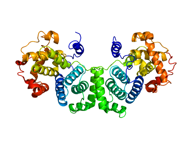 Cyclin B - Wikipedia