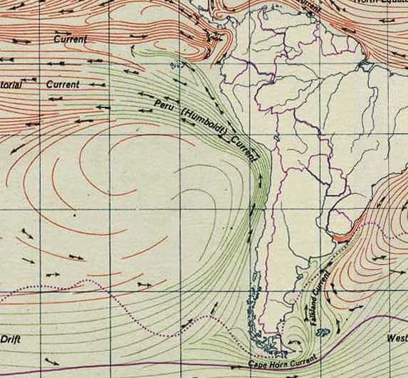 Courant de Humboldt — Wikipédia