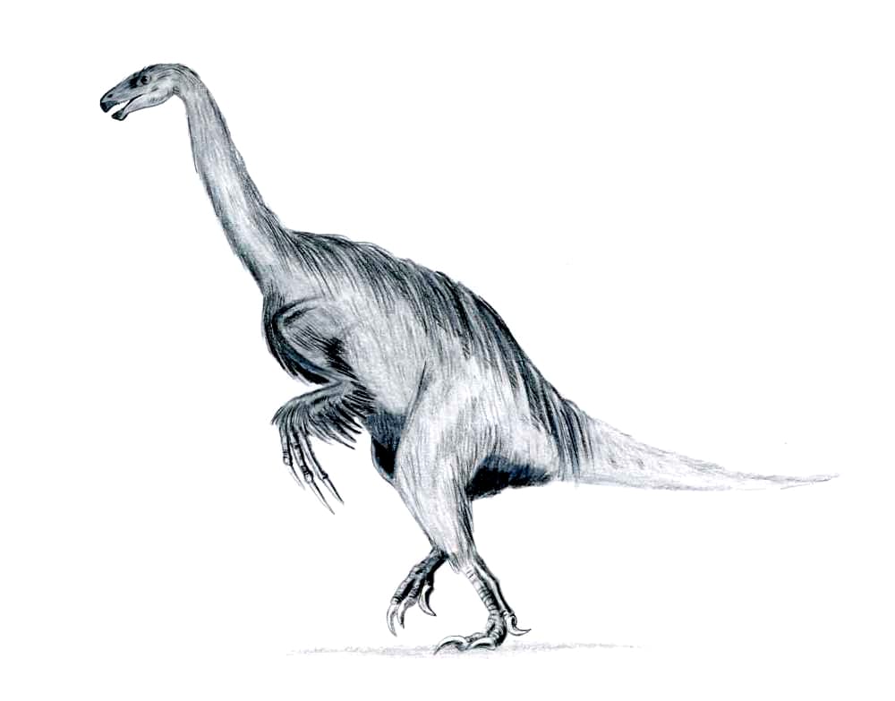 Erlikosaurus — Wikipédia