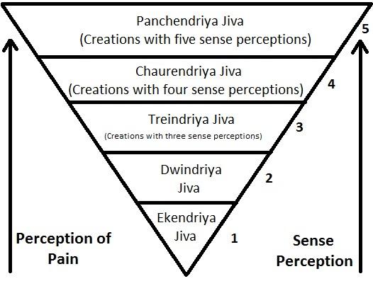 Jain vegetarianism - Wikipedia