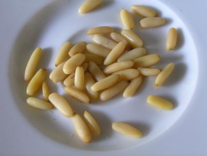 Pine nut - Wikipedia