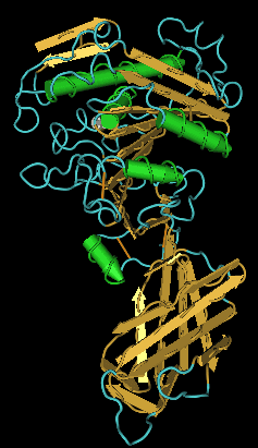 Lipase — Wikipédia