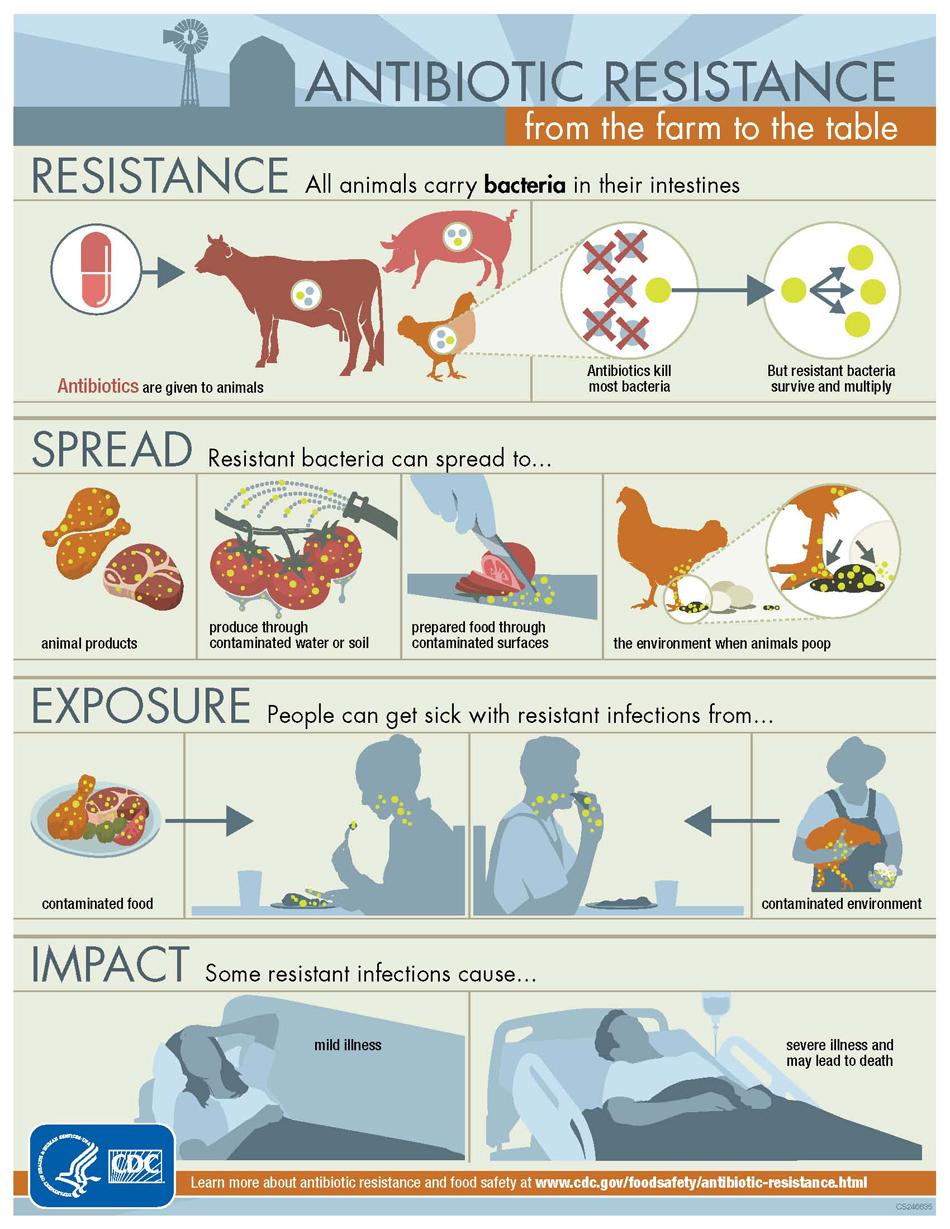 Utilisation des antibiotiques en élevage — Wikipédia