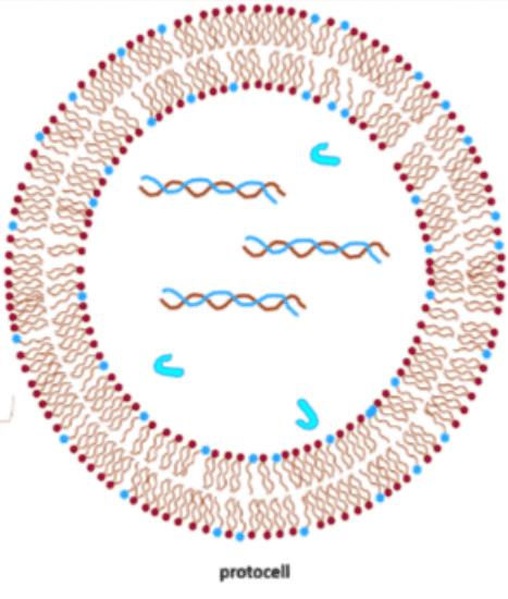 Microgoutte — Wikipédia