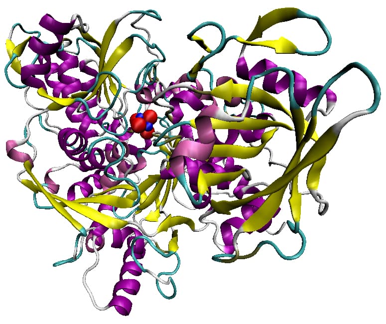 Aconitase - Wikipedia