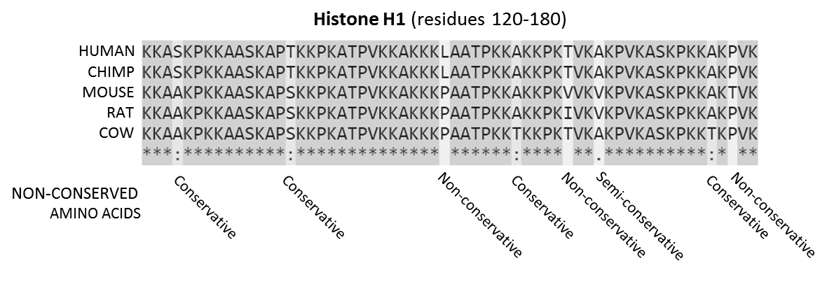 Conserved sequence - Wikipedia