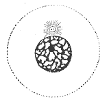 Interphase - Wikipedia