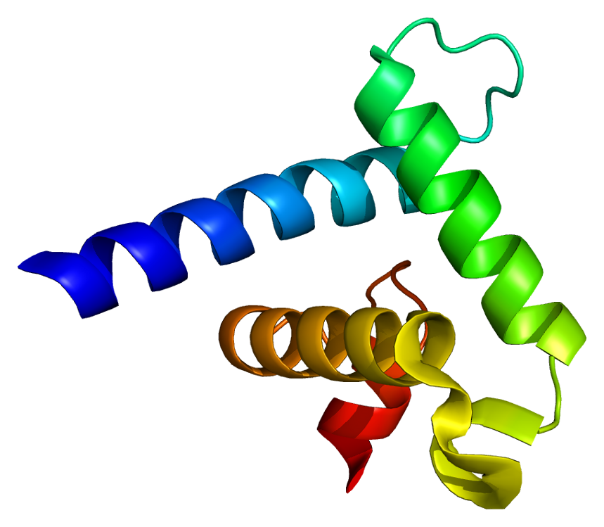 CREB-binding protein - Wikipedia